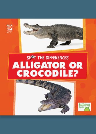 Spot the Difference set 1