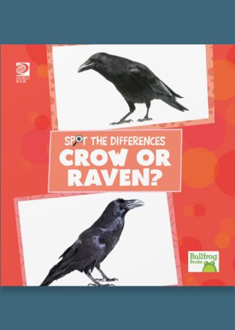 Spot the Difference set 2