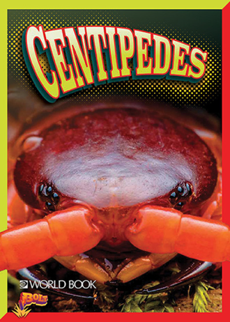 Bolt 4 – Crawly Creatures