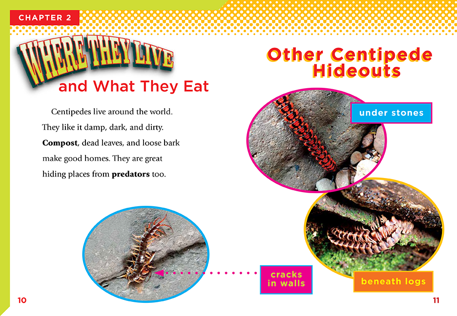 Bolt 4 - Crawly Creatures - Image 3