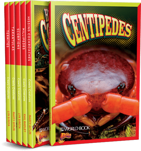 Bolt 4 - Crawly Creatures - Image 5